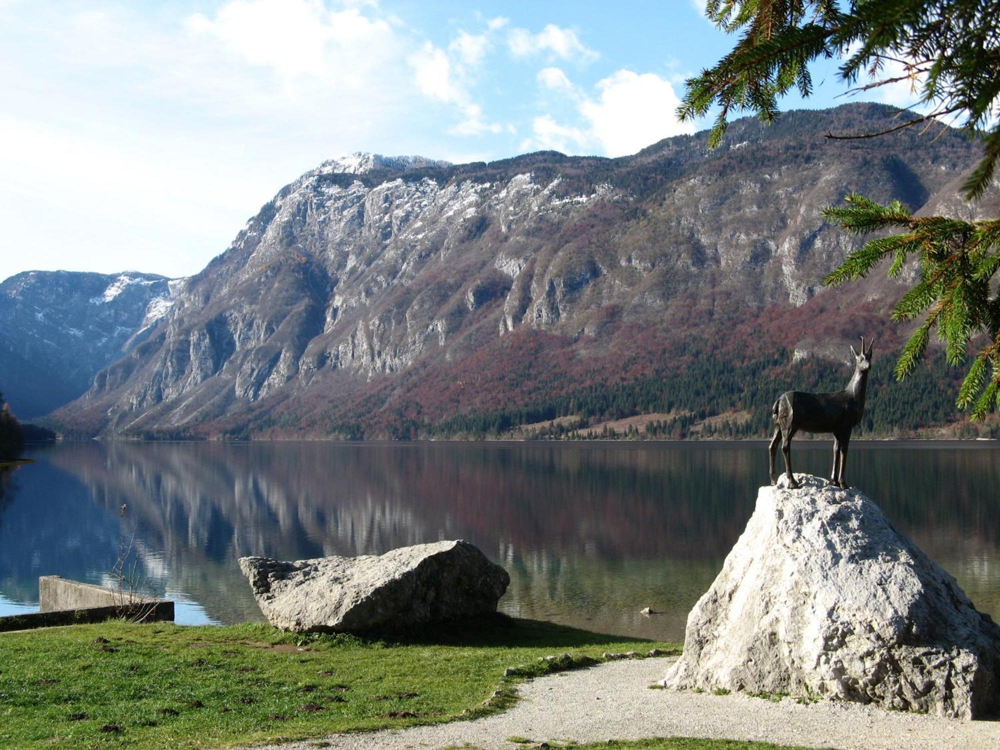 Apartments Na Vasi Bohinj Exterior photo
